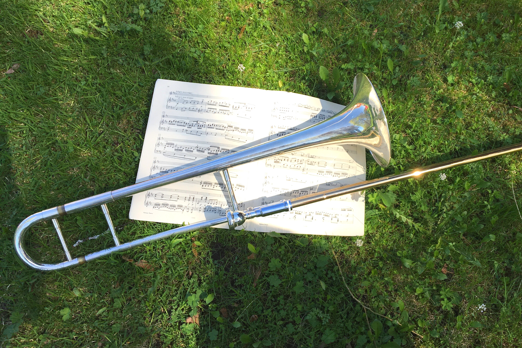 En trombon och noter i gräset